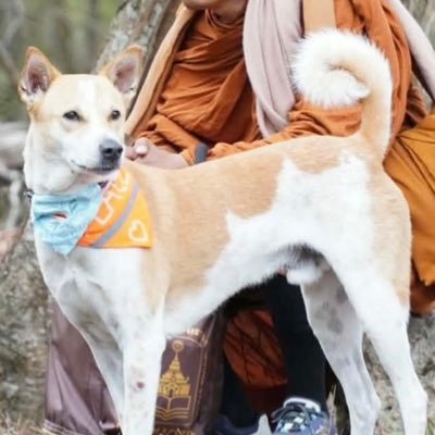 Julioqc's profile picture. Campesino-agrónomo, vagabundo, aventurero y trotamundo, rebelde con causa...a veces pensador y poeta callejero. Ecologista y ciudadano del mundo.