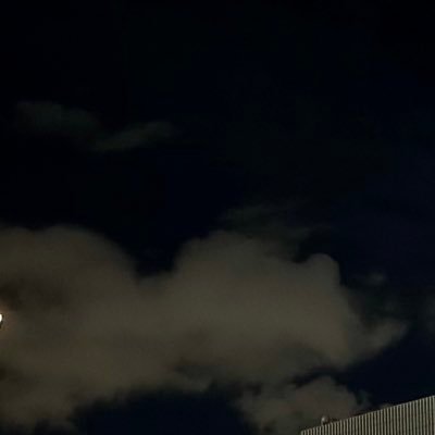 hafunftti's profile picture. 