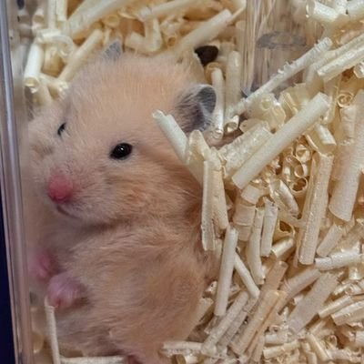 possibal55's profile picture. #김건우 #이상원                                                        
https://t.co/tUQ5YHH63c