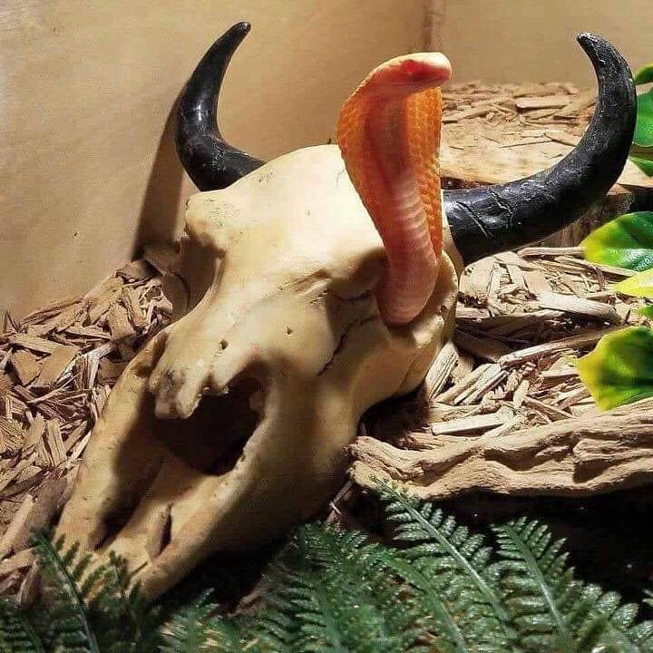 lilamauve83's profile picture. Heard you found a real good man,