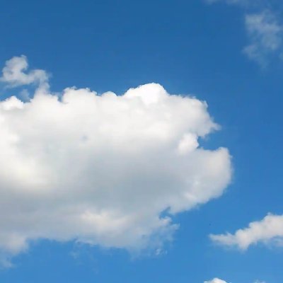 ydfqyljym's profile picture. 天也不懂情