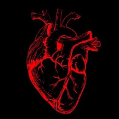 Xbiohack's profile picture. Biohacking, Testosterone & Wellness... Unlock the secrets of optimal health