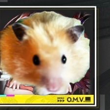 stellaham428's profile picture. ハムスターっぽい魔王兼管理人　または会社に奉仕する畜生略して社畜 時々ドクター