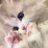 intrmzl_'s profile image
