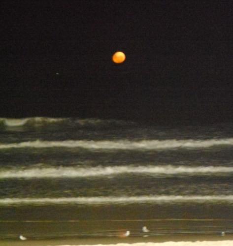 nudesun's profile picture. 