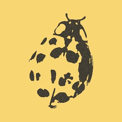 KahanHQ's profile picture. Official Account for Noah Kahan Info 🐞
The Great Divide, the album, available April 24th