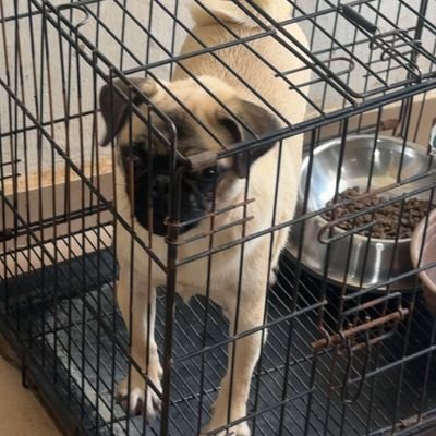 SandraOliv70779's profile picture. 