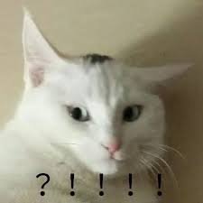 Woooooooowilike's profile picture. I don't care what you think about me. 最重要的是，好好活着。