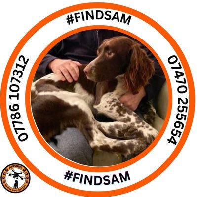 rosieDoc2's profile picture. 