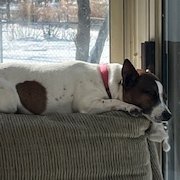 DJWharton3's profile picture. 