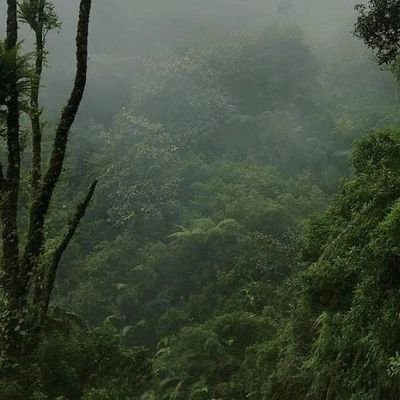 Mr9r3s1d3nt's profile picture. 