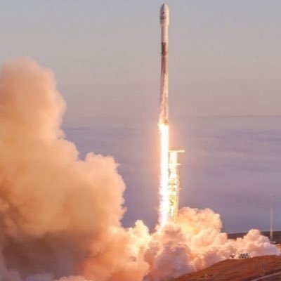 elon_R66's profile picture. 