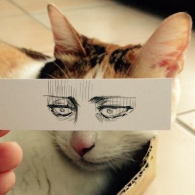 Tin_Nicks's profile picture. 