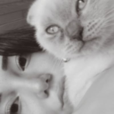 Dibeinmekteyim's profile picture. ya hep ya hiç' | rєklαm vє ücrєtlí rt íçín dm♡