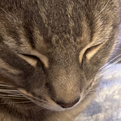 teorifan's profile picture. cravity