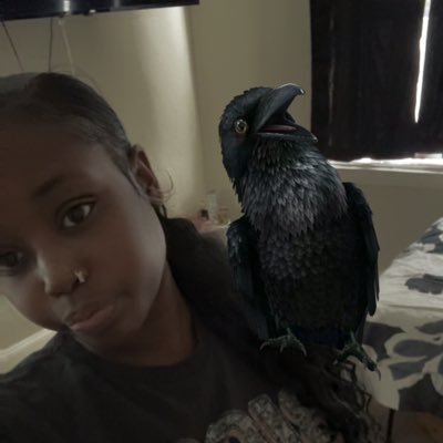 K_Shantel91's profile picture. Amos: K.Shantel