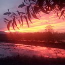 Rendell - @Rendell321241 - Twitter