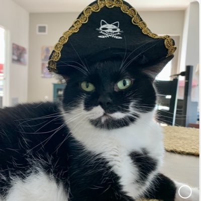 lestatkatt1970's profile picture. Archivist, Record Collector, Cat Wrangler @ The House Of Napoleon, Co-Owner of Print Music Co, Inc.