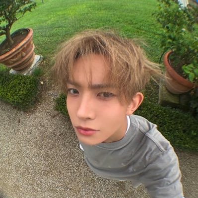 sweetumito's profile picture. 🦢⚪️❔ mainly for bts & enha ! ( fan account ) https://t.co/d8bLcnbTjS