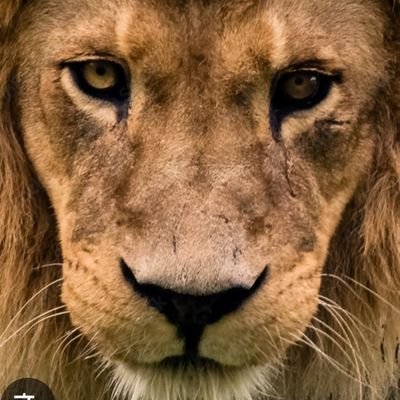 sarabongio_sara's profile picture. A veces, me peino. Siempre apoyo a los gobiernos NO POPULISTAS.