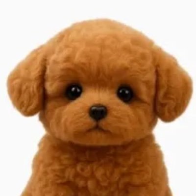 Circe🇵🇸❤️‍🔥🩹