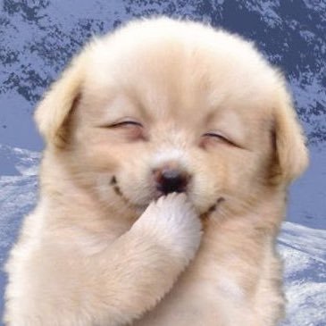 basiljjoa's profile picture. 이제서야 재테크에 눈뜬자/관심사는 백만가지인 블루레이디💙🩵