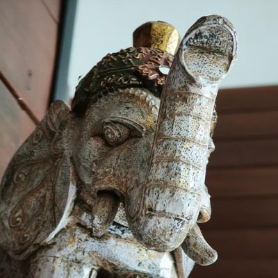 kei_e14's profile picture. Community Builder