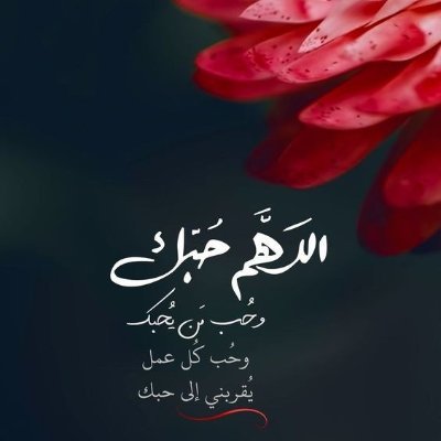 aligrw99's profile picture. (ربي ارحم والدينا كما ربونا صغارا