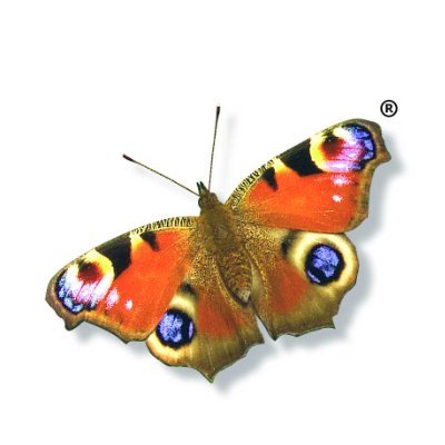 ButterfliesHC's profile picture. Optical Supplier of; 
Prescription Swim Goggles
Viteyes 
Sutton Supplements/Eyecare/Swimwear
7eye Dry Eye Glasses
Eye Care Cosmetics
Tear Restore 
Tranquileyes