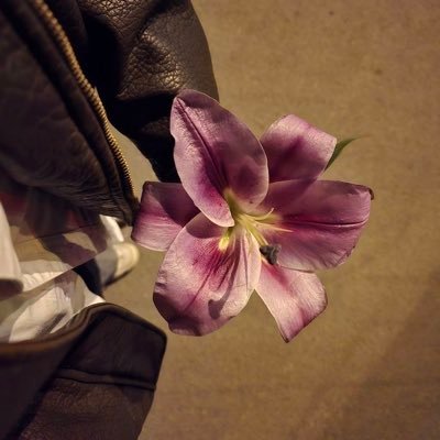 8awnu's profile picture. كل شي فيها تحس إنك تعرفه .. تجهله