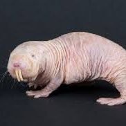 juanca637's profile picture. 