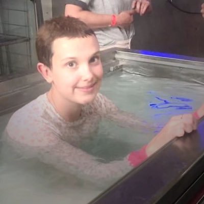 wilIeIs's profile picture. that one oomf who is too lesbyler and elmax pilled 🫧 header by lambapostle ɞ˚‧｡⋆