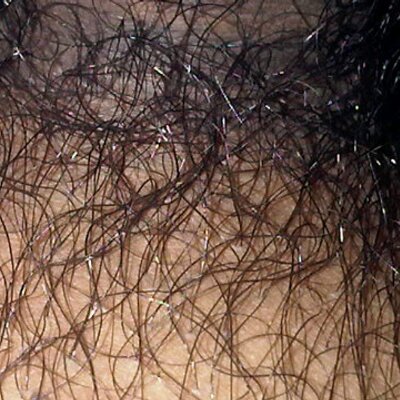 Bulu Jembut Video Bokep Ngentot Bulu Jembut Video Bokep Ngentot