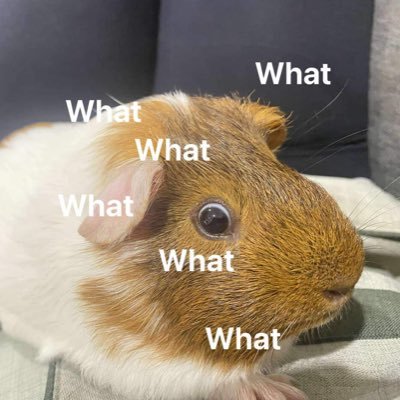 apricot_246810's profile picture. เล่นไปเรื่อย ไม่เน้นตอบDM แต่อ่านหมดนะ😛