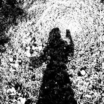 legendabeaut's profile picture. رقيقة وقويّة، أقرأ وأكتب كثيرًا، وأكن لبلادي حبًا جمًا