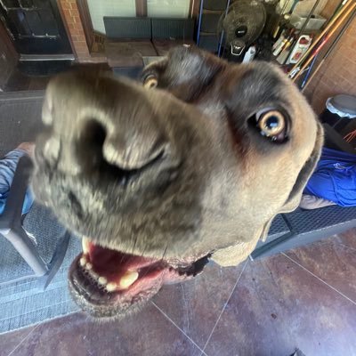 JasonFrank901's profile picture. Other side of the pillow