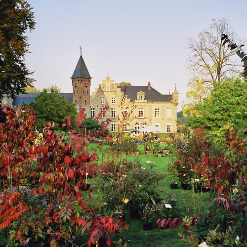 En mai et en octobre, depuis 1992, le Festival des Plantes rassemble une sélection des meilleurs pépiniéristes dans le parc du château de Beez (Namur).