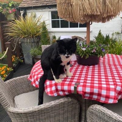 WillyCarcus's profile picture. loving life & all it’s crazy splendour.. #Photographer #Artist  #CatLover  #Fun 😁🥰😁🥰😻😁🥰😁