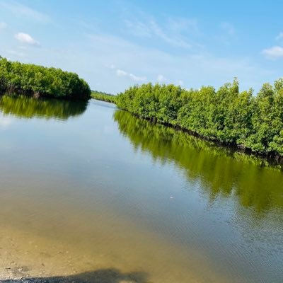 AOCFIRSTLADY's profile picture. 