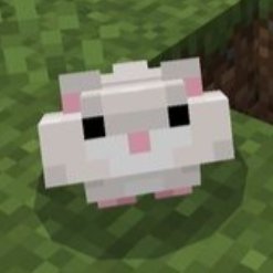 p2auch's profile picture. 게이토크할거아니면초뎀 X