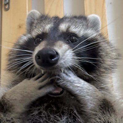 bizabro8_'s profile picture. 