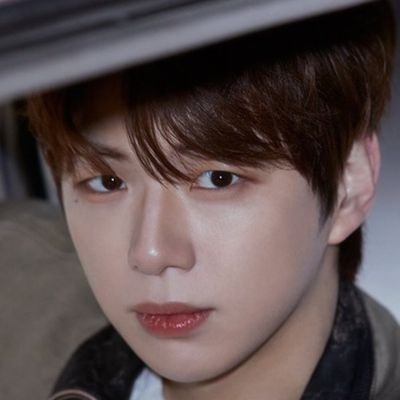 choigodaniel's profile picture. ☆Fan Account☆
🌻 멋진 강다니엘과 그의 노래와 춤...
모든 것을 사랑하는 🌻 ❤ FlowD ❤️