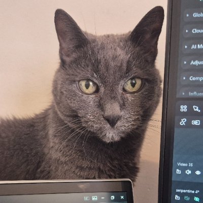 datphoenixbrown's profile picture. https://t.co/qq6xCRyyFm
https://t.co/tzwjomhR9N
https://t.co/nRniyTxqPN