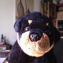 Albert Burger - @wuffmozart - Twitter