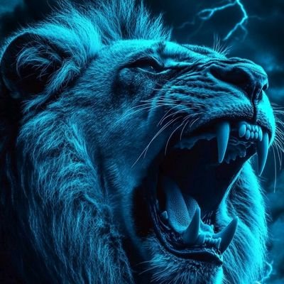 0mar0ii's profile picture. 