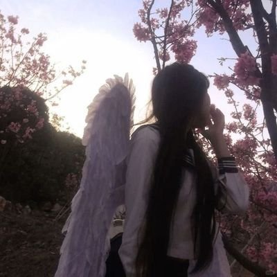 danikierellorar's profile picture. #edtwt