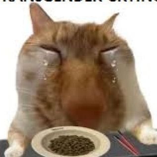 lucaviado's profile picture. 🪱 19 . ..