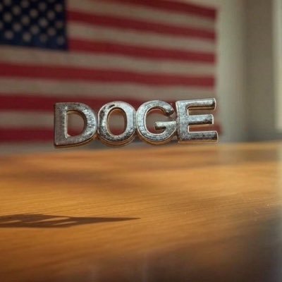 DogeReeveElon13's profile picture. chief designer of Tesla Inc🚀🚀🚀