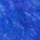 yetshorts's profile picture. 