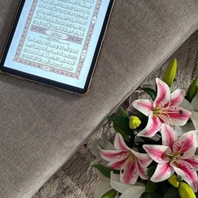 jafawl8's profile picture. 